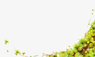 四叶草底纹免抠