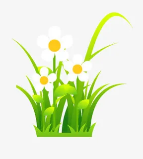 唯美精美清新卡通草树叶花朵免抠