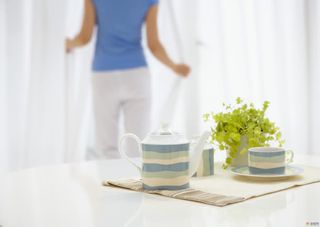 白色简约家居植物免抠