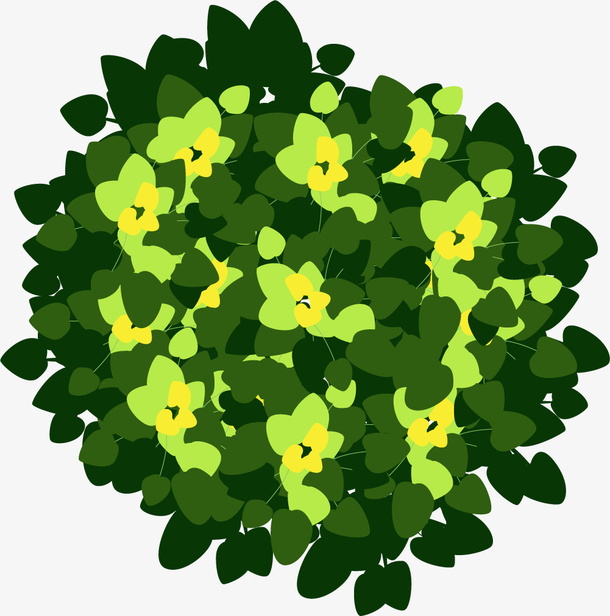 俯视开花矢量绿植免抠