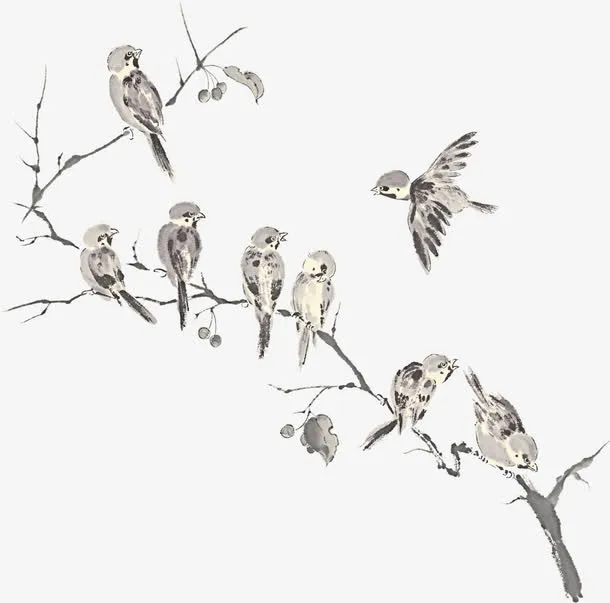 树枝上一群小鸟免抠