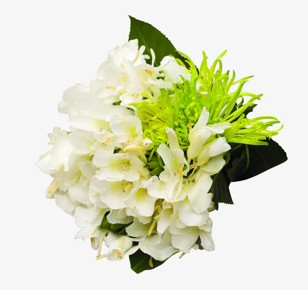 白色植物捧花免抠