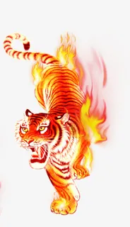 全身带火焰的老虎免抠