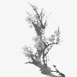 手绘灰色梅花树枝免抠