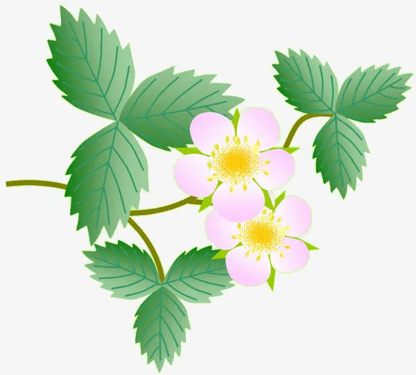 手绘粉红绿叶树枝免抠