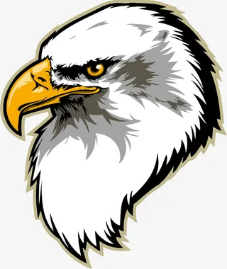 眼神凌厉的白头海雕免抠