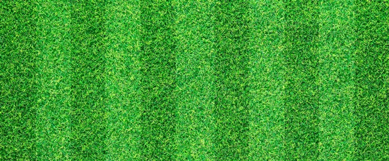 草坪背景高清