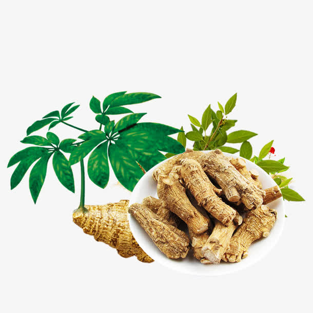 中医药材免抠