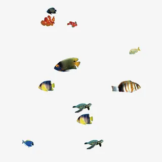 各种各样的鱼儿免抠