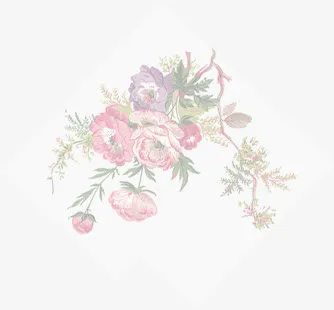 春天牡丹服饰纹理免抠