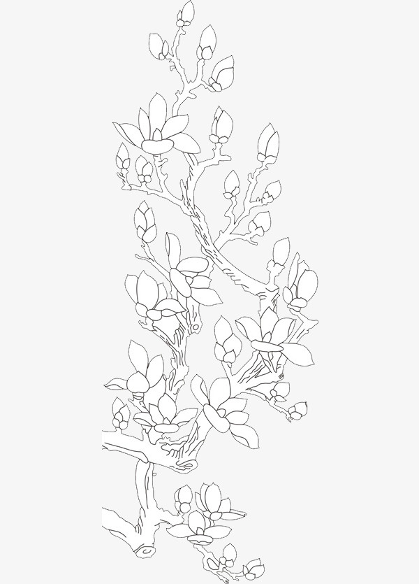中国风美丽玉兰花免抠