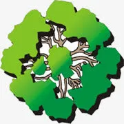 黄绿色渐变手绘植物免抠