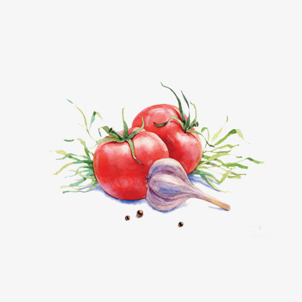 手绘蔬菜免抠