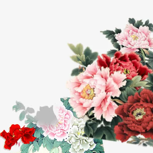 鲜花元素免抠