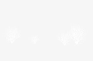 冬天的树木，没有叶子的树枝，文免抠