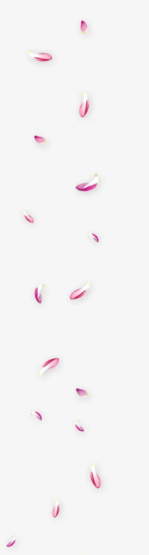 花瓣粉红花瓣飘落特效免抠