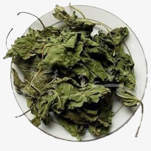 一盘桑叶免抠