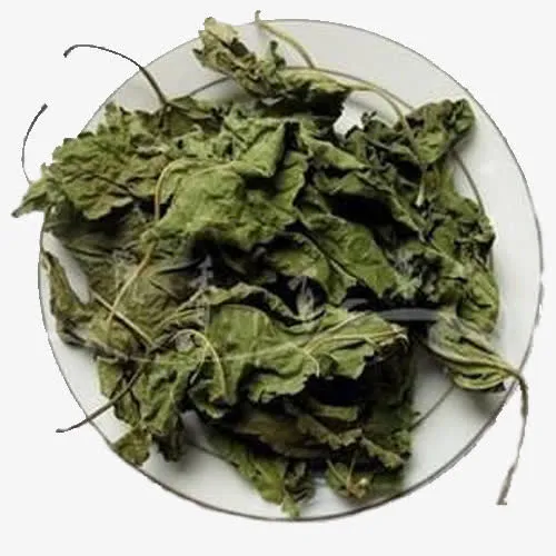 一盘桑叶免抠
