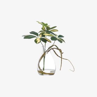 欧美流行插花 绿植物 鲜花软装免抠