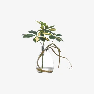 欧美流行插花 绿植物 鲜花软装免抠