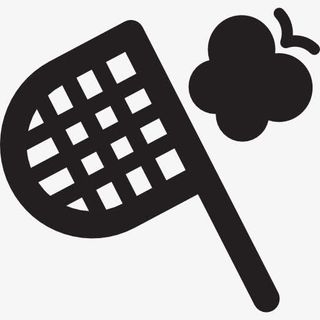 Butterfly Hunter 图标免抠