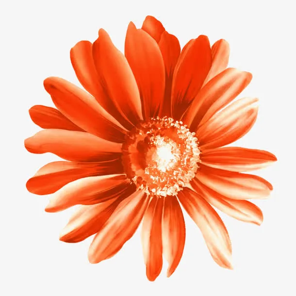 红色鲜花免抠