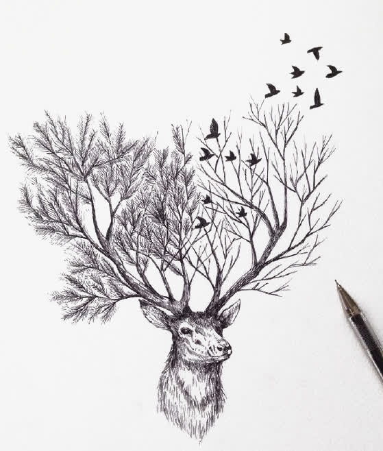 手绘麋鹿免抠