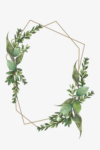 绿叶相框插画框免抠