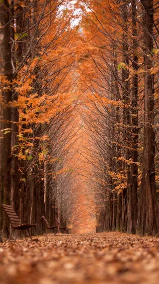 阳光简约风景手机端H5背景高清