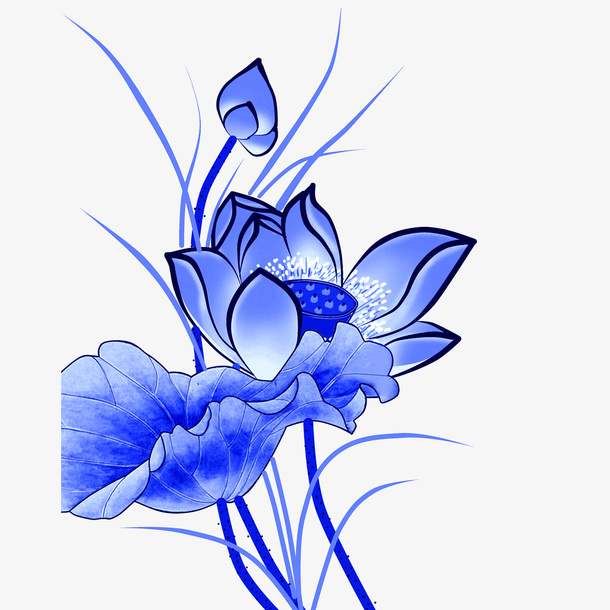 荷花免抠