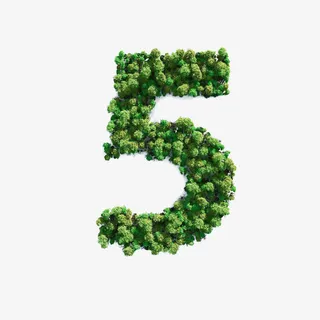 俯视树乔木组合免抠