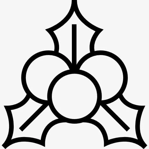 槲寄生图标免抠