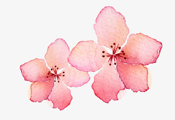 挑花水彩稿图片素材免抠