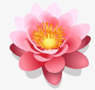 矢量浪漫花朵背景素材