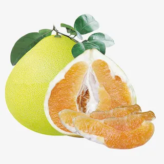 沙田柚PNG素材免抠