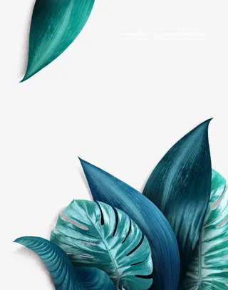 水彩夏天叶子免抠