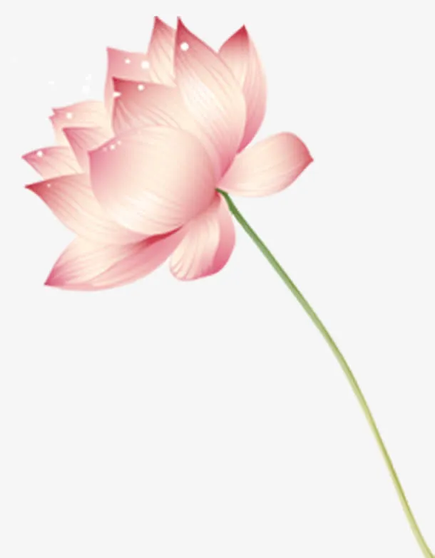 清新荷花免抠