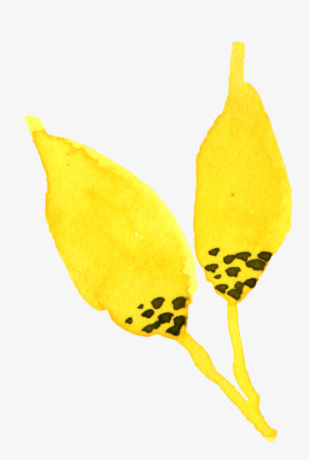 花瓣免抠