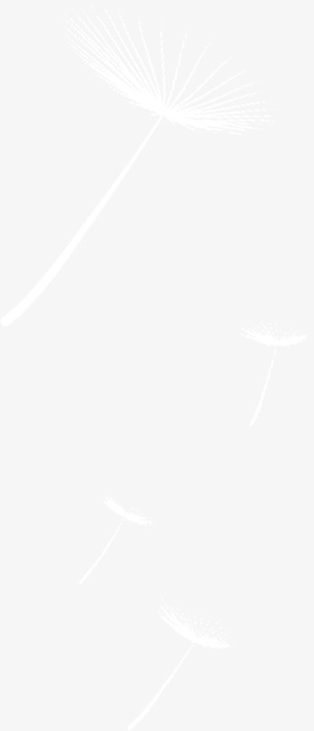 白色漂亮蒲公英免抠