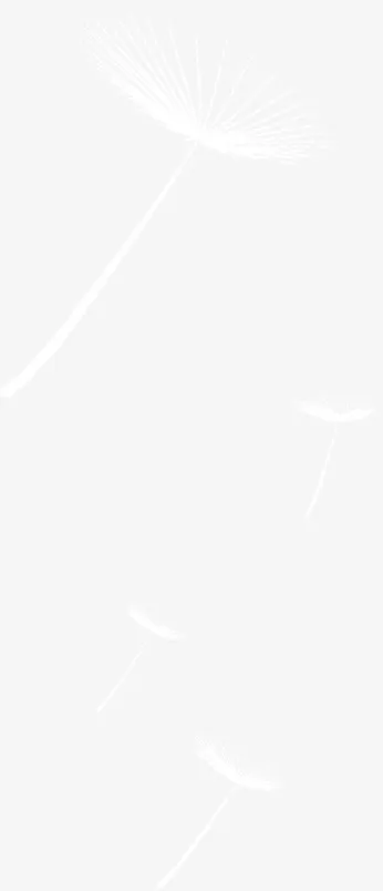 白色漂亮蒲公英免抠