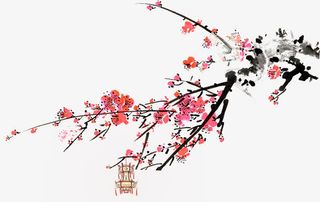 梅花元素免抠