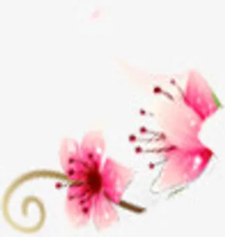 节日花朵促销电商免抠