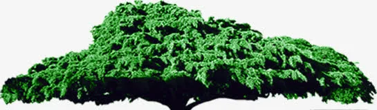 中秋节高清绿色树叶免抠