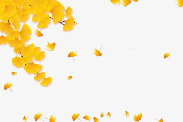 漂浮树叶免抠