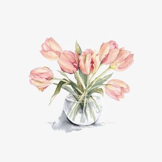 水彩郁金香免抠