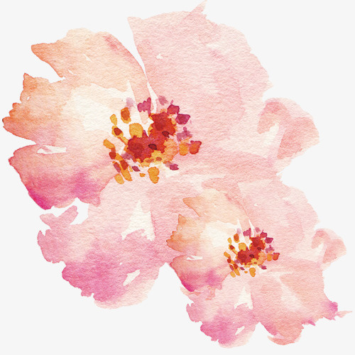 粉色唯美装饰花瓣设计图免抠