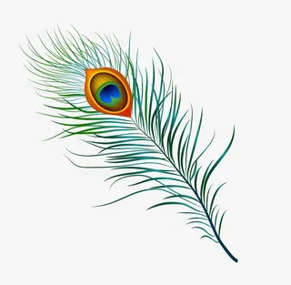 孔雀羽毛免抠png装饰图案免抠