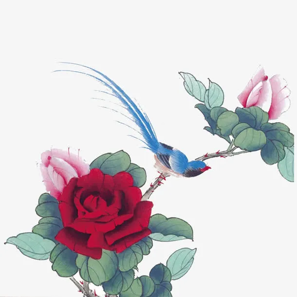 花鸟图免抠