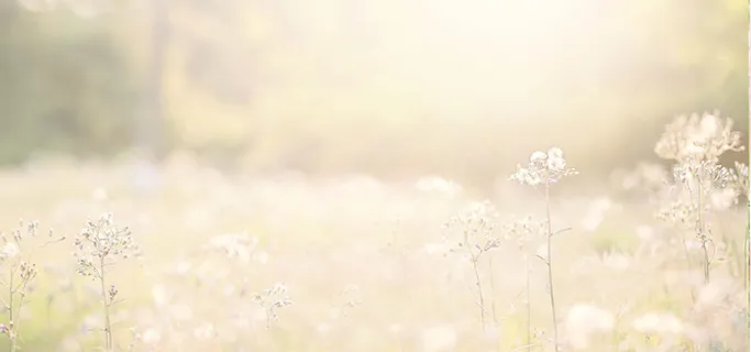 清新淘宝天猫背景高清