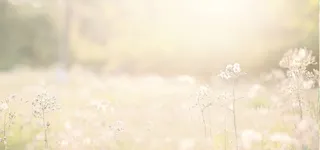 清新淘宝天猫背景高清